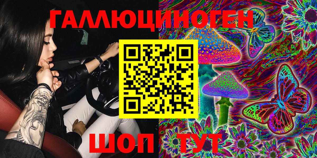 Галлюциногенные грибы Psilocybe Камышлов