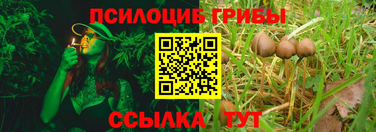 Псилоцибиновые грибы Magic Shrooms  Галлюциногенные грибы мицелий  Вход с VPN  Камышлов 